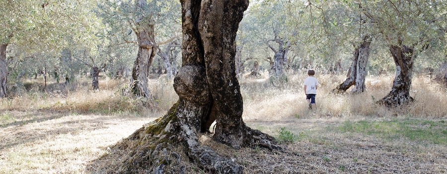 Christchurch Photographer, in Italy