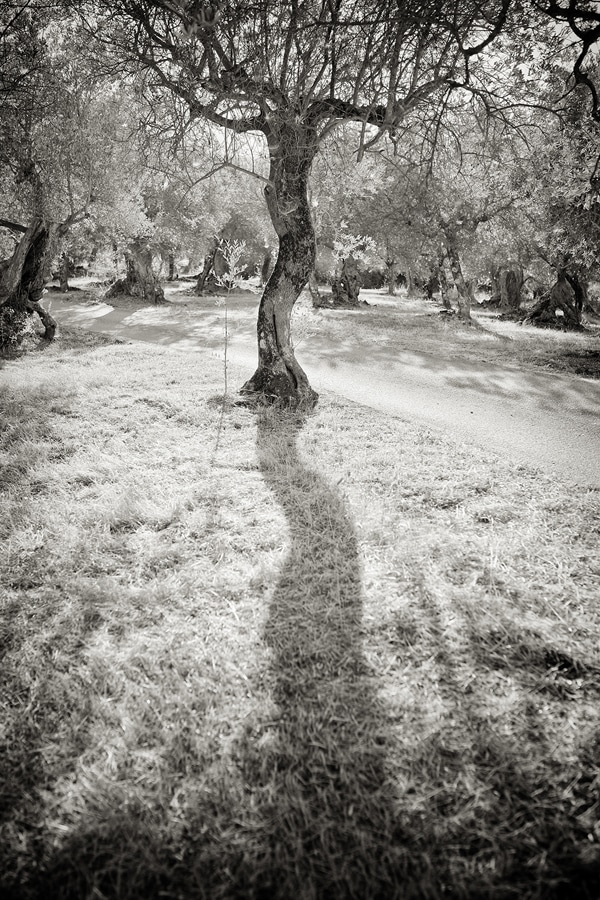 Christchurch Photographer, in Italy