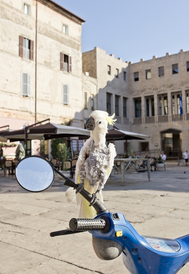 Christchurch Photographer, in Italy