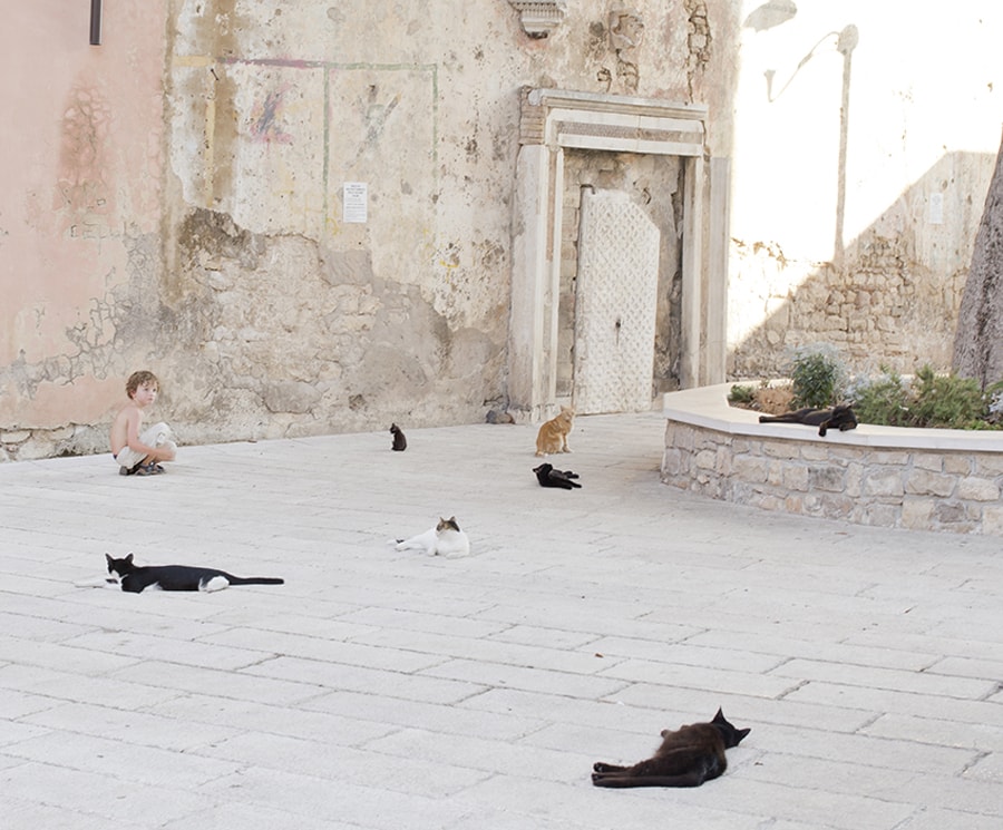 Christchurch Photographer, in Italy