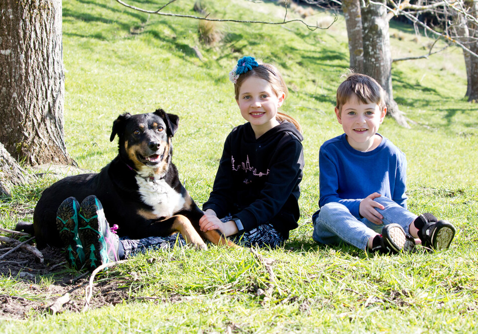Family Portraits Christchurch, Etta Images, Love and pets fundraiser for the Gumboot Friday
