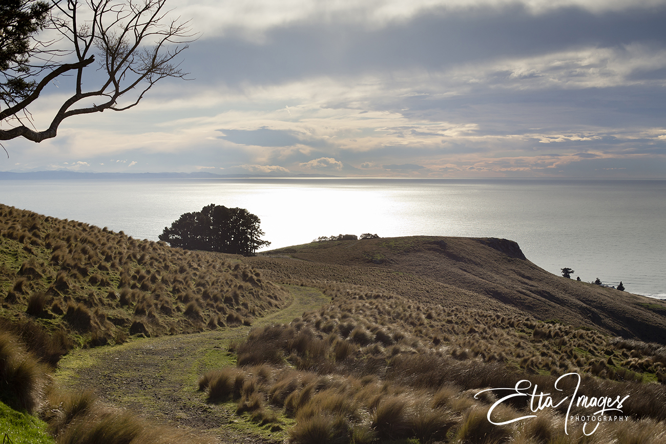 Art for my office, artwork Christchurch, local artist, Christmas gifts, fine art Christchurch, Etta Images , Christchurch Photographer