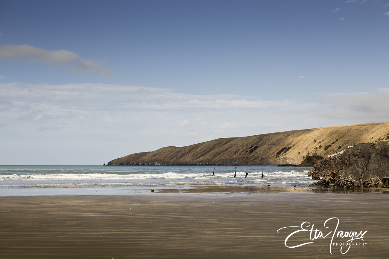 Art for my office, artwork Christchurch, local artist, Christmas gifts, fine art Christchurch, Etta Images , Christchurch Photographer